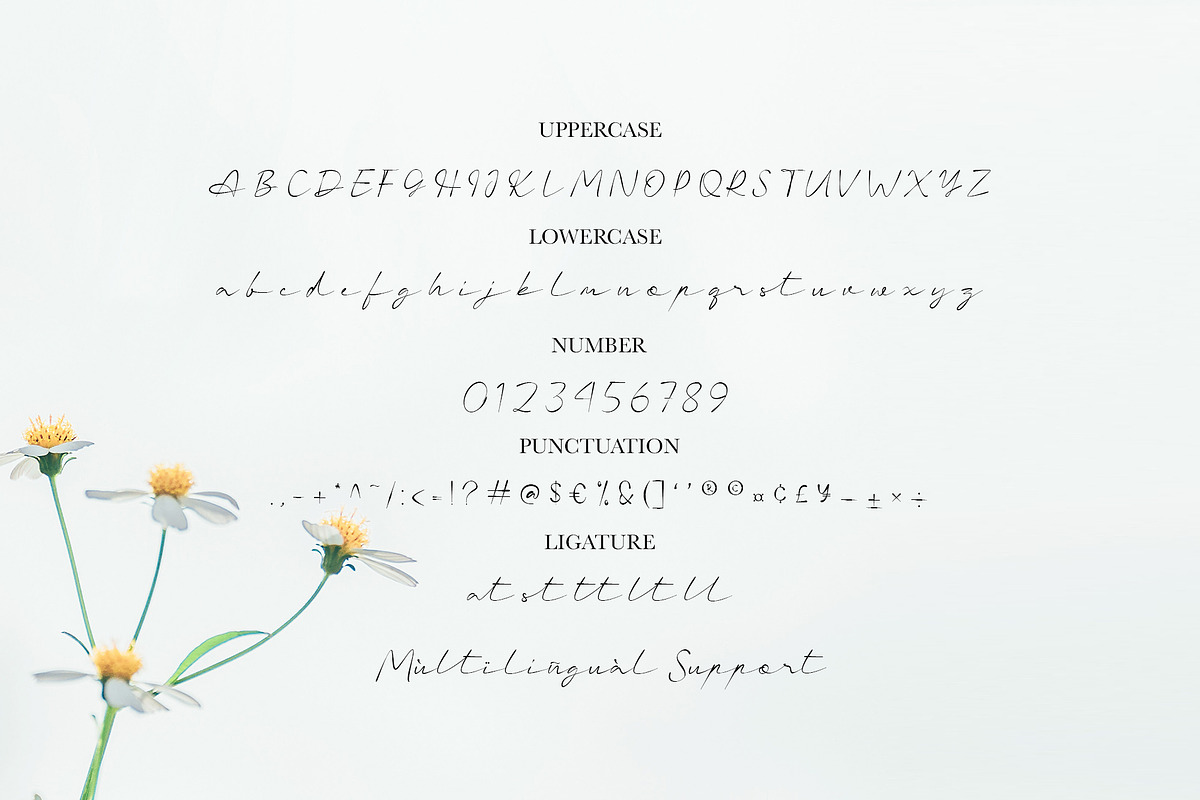 Charlotte - Casual Handwritten Font preview 6