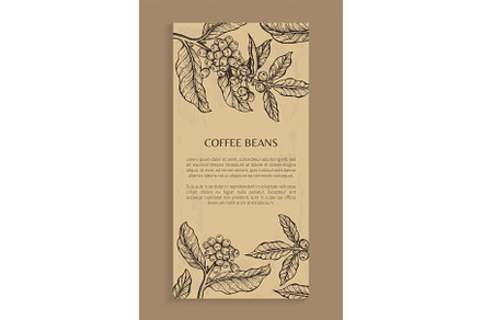 Coffee Beans Poster Brown Vector Illustration