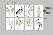 Equatorial Patterns Set!, a Wallpaper Graphic by Pink Linen (Thumbnail 10 of 12)