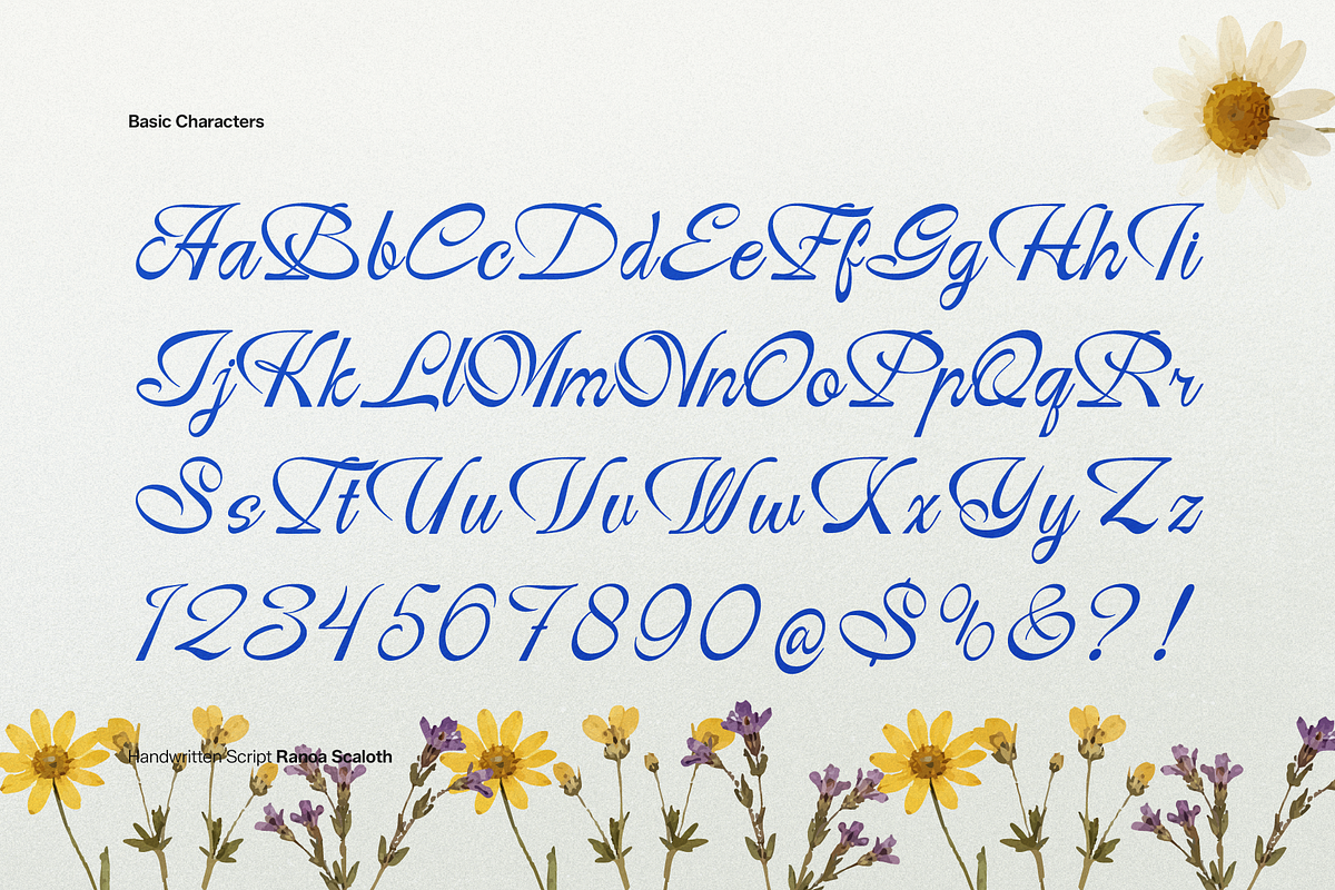 Ranoa Scaloth | Handwritten Script, a Script Font by gracetype_studio (Photo 9 of 11)