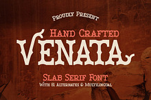Venata | Slab Serif Font