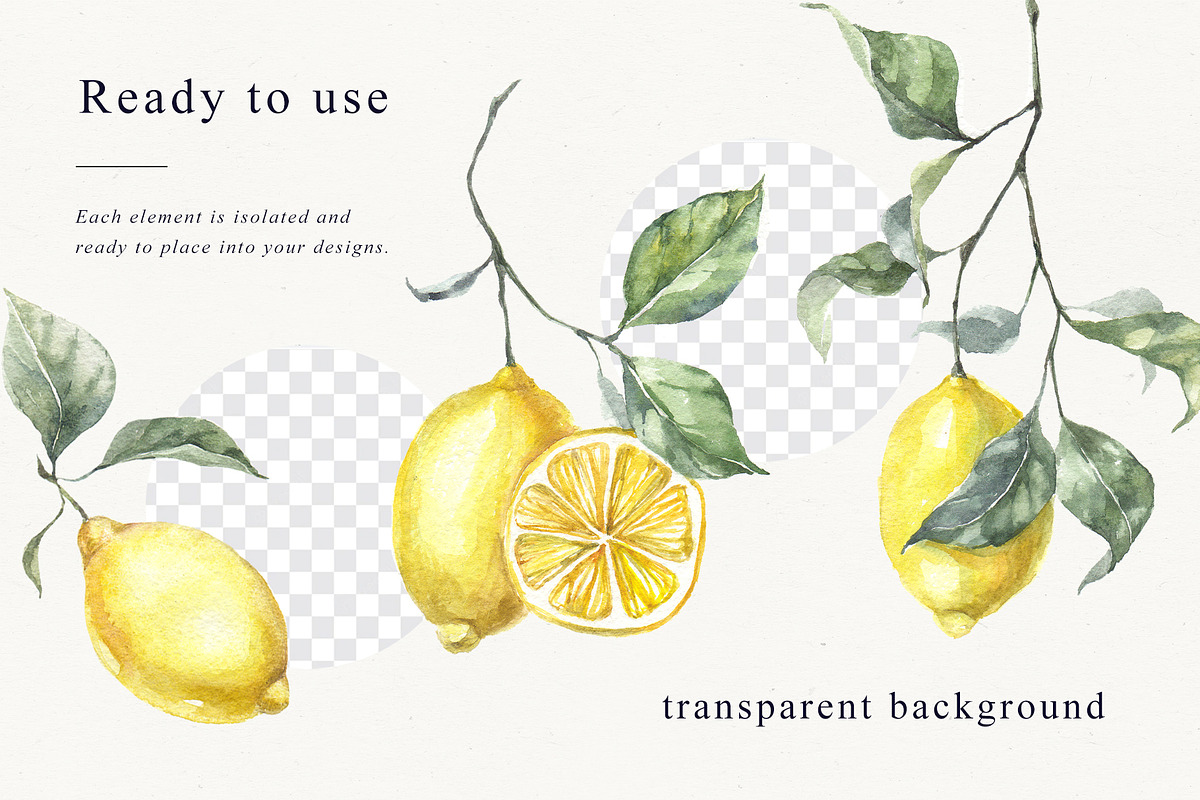 Lemons Botanical Illustrations, a Food Illustration by Tilling (Photo 4 of 7)