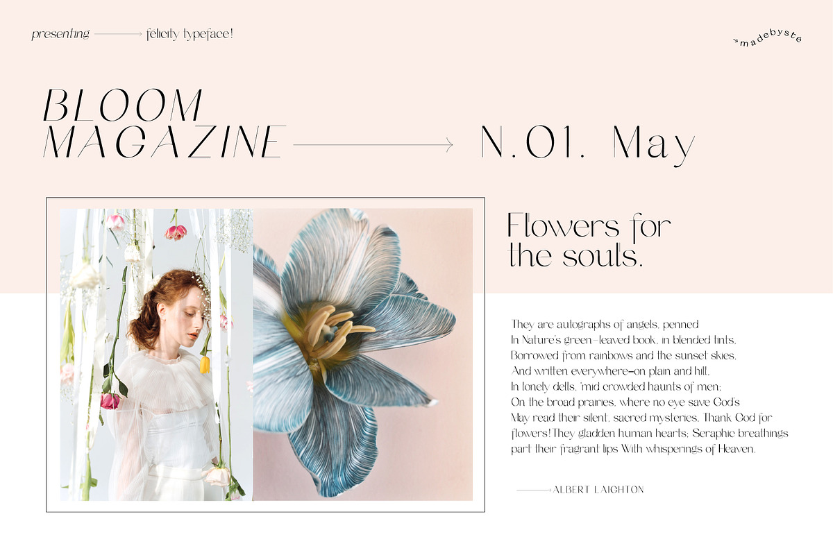 FELICITY — 3 ELEGANT FONTS, a Sans Serif Font by Madebysté. (Photo 6 of 9)