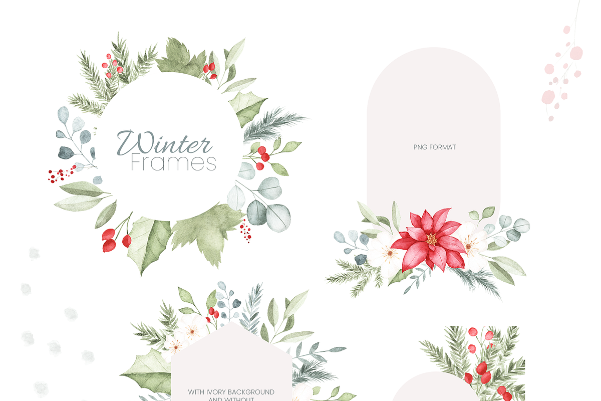 Winter Botanical Watercolor Set, a Decorative Illustration by Liliia Polos Illustration (Photo 6 of 10)