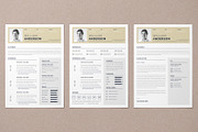 Resume Template | CV Design | 3 Page, a Resume Template by Alice_s (Thumbnail 2 of 6)