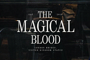 Wildest - Classical Serif, a Serif Font by Tammami (Thumbnail 3 of 9)