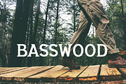 Basswood Serif Font, a Serif Font by TinyWanderersArt (Thumbnail 5 of 5)