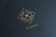 Aerial Logo Collection Classic, a Branding & Logo Template by Michael Rayback Design (Thumbnail 12 of 21)