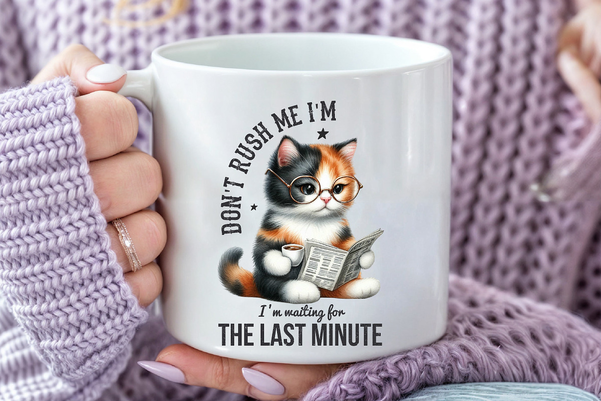 Funny Cat Sarcastic Sassy PNG, an Illustration by SinaCreation (Photo 15 of 20)