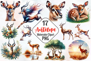Antelope Watercolor Clipart, an Animal Illustration by RobertsArt