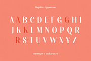 Regalia Sans, a Sans Serif Font by Versetype (Thumbnail 12 of 13)