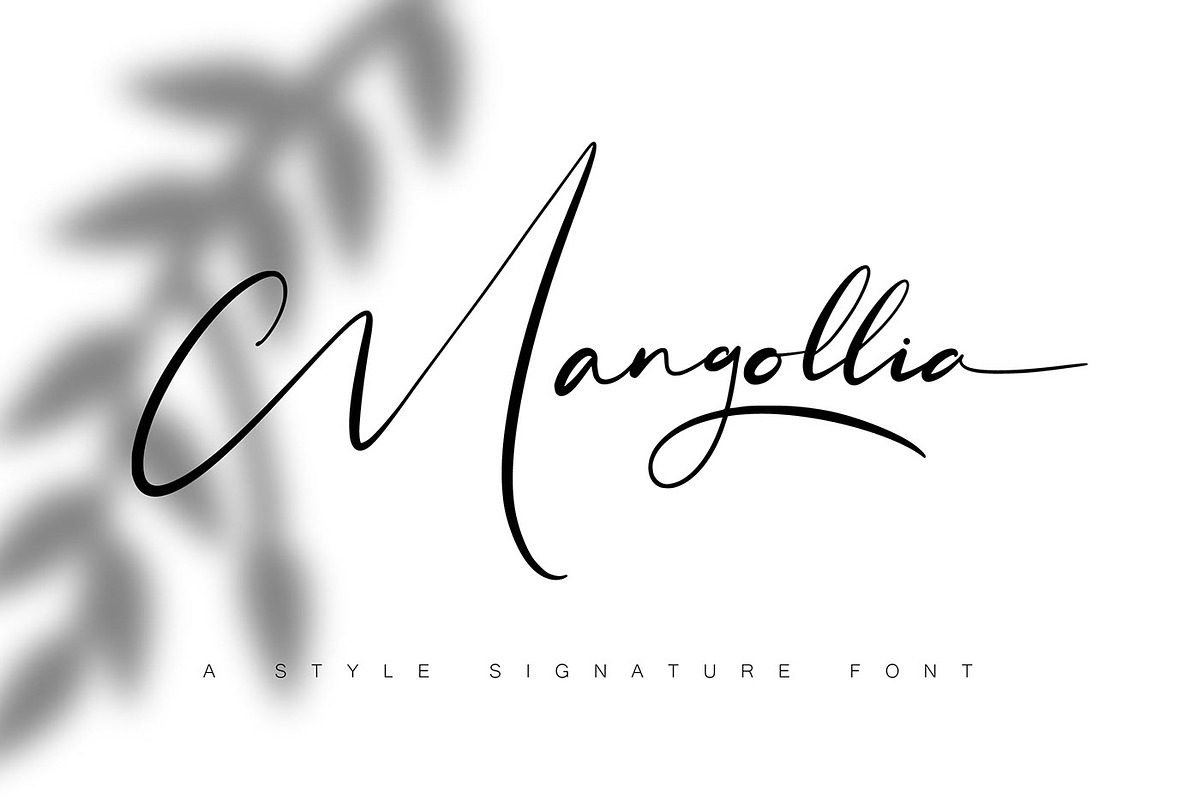 Mangollia - Signature Font, a Script Font by NuType (Photo 1 of 15)