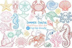 Summer Coastal Hand Drawn Line Art, an Illustration by Dream Creation