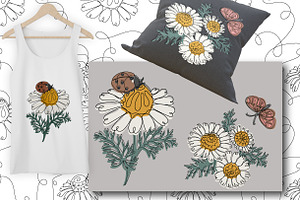 Chamomile. Floral Collection