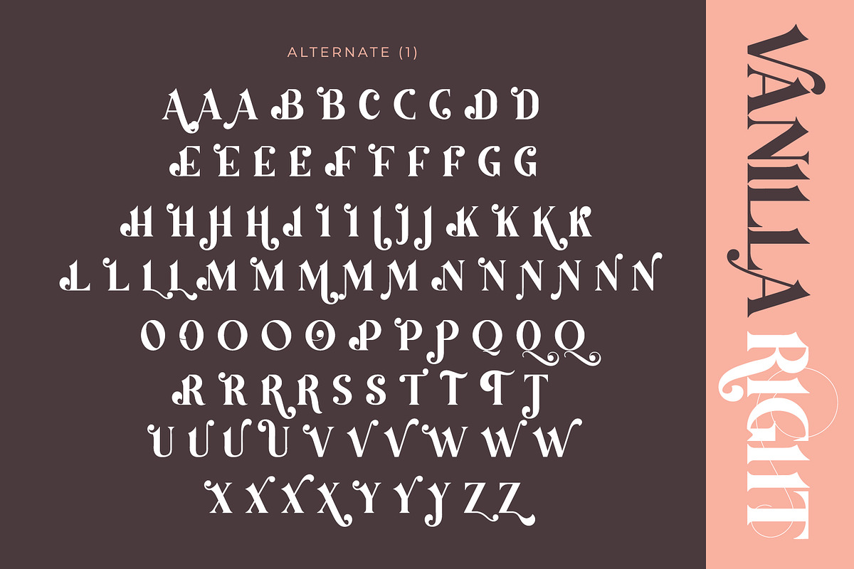 Vanilla Right - Modern Serif Font, a Serif Font by Airotype (Photo 15 of 18)