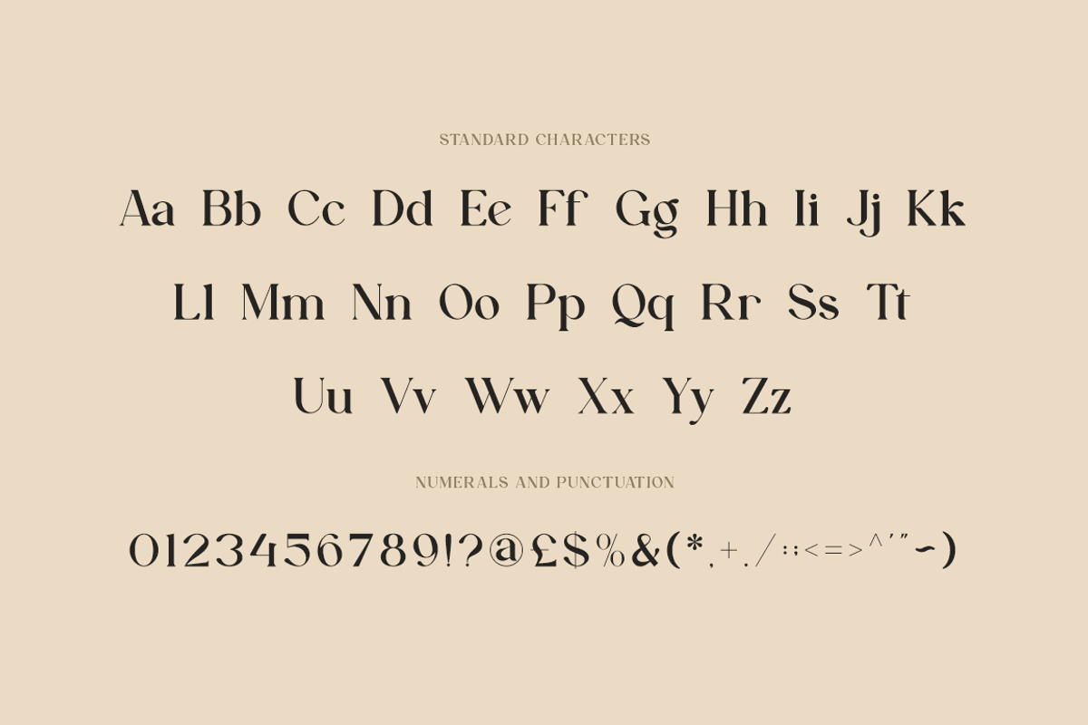 Aesthetiva - Elegant Serif Font, a Serif Font by RockboyStd (Photo 9 of 12)