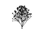 Wildflower Silhouette Vector Set, an Illustration by BIPLOB EXPERT (Thumbnail 8 of 9)