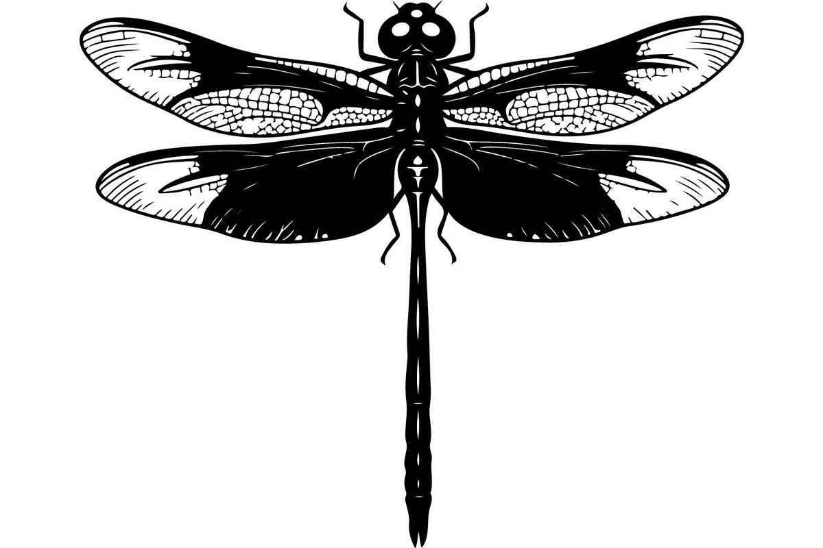 20 Dragonfly Silhouette Mega, an Object Graphic by Designer_Momina (Photo 18 of 19)