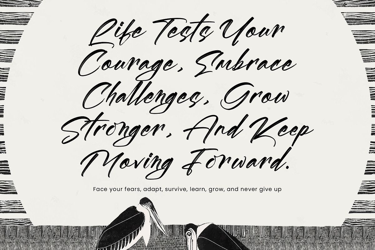 Blytthes, a Font by operatype.co (Photo 2 of 15)