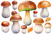 Mushrooms Forest watercolor painting, an Object Illustration by Hanna Hryharenka (Thumbnail 5 of 11)