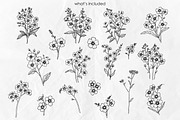 Forget-me-not SVG clipart, an Object Graphic by Dervik Art Store (Thumbnail 8 of 8)