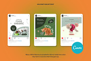 Pet Shop Instagram | CANVA Template, a Social Media Template by Azruca (Thumbnail 4 of 17)