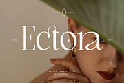 Spectral Bridge - Modern Serif, a Serif Font by Namara Creative Studio (Thumbnail 4 of 14)