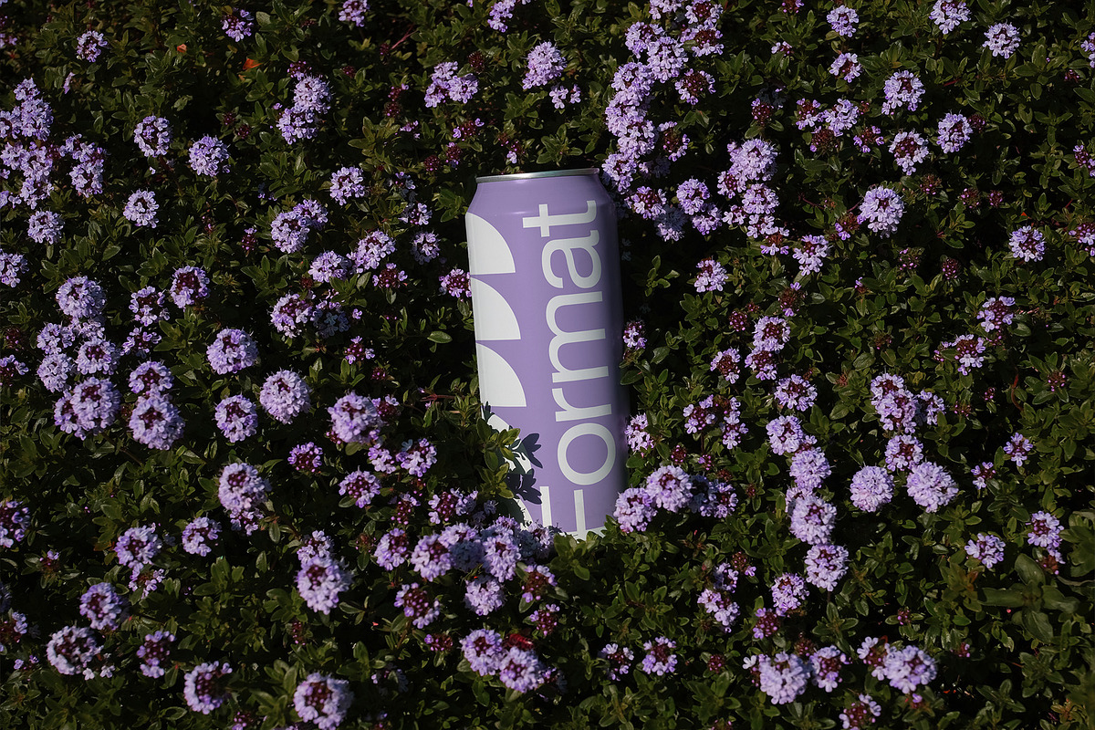 FORMAT B2 CANS 01 MOCKUP, a Product Mockup by Format Mockups (Photo 5 of 5)