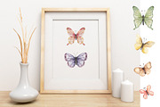 Watercolor Butterfly Collection, a Decorative Illustration by MayaNavits (Thumbnail 3 of 15)