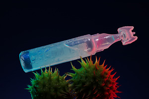 Single plastic ampoule resting on two green spiky seed pods, dra, a Health & Medical Photo by Ales Munt