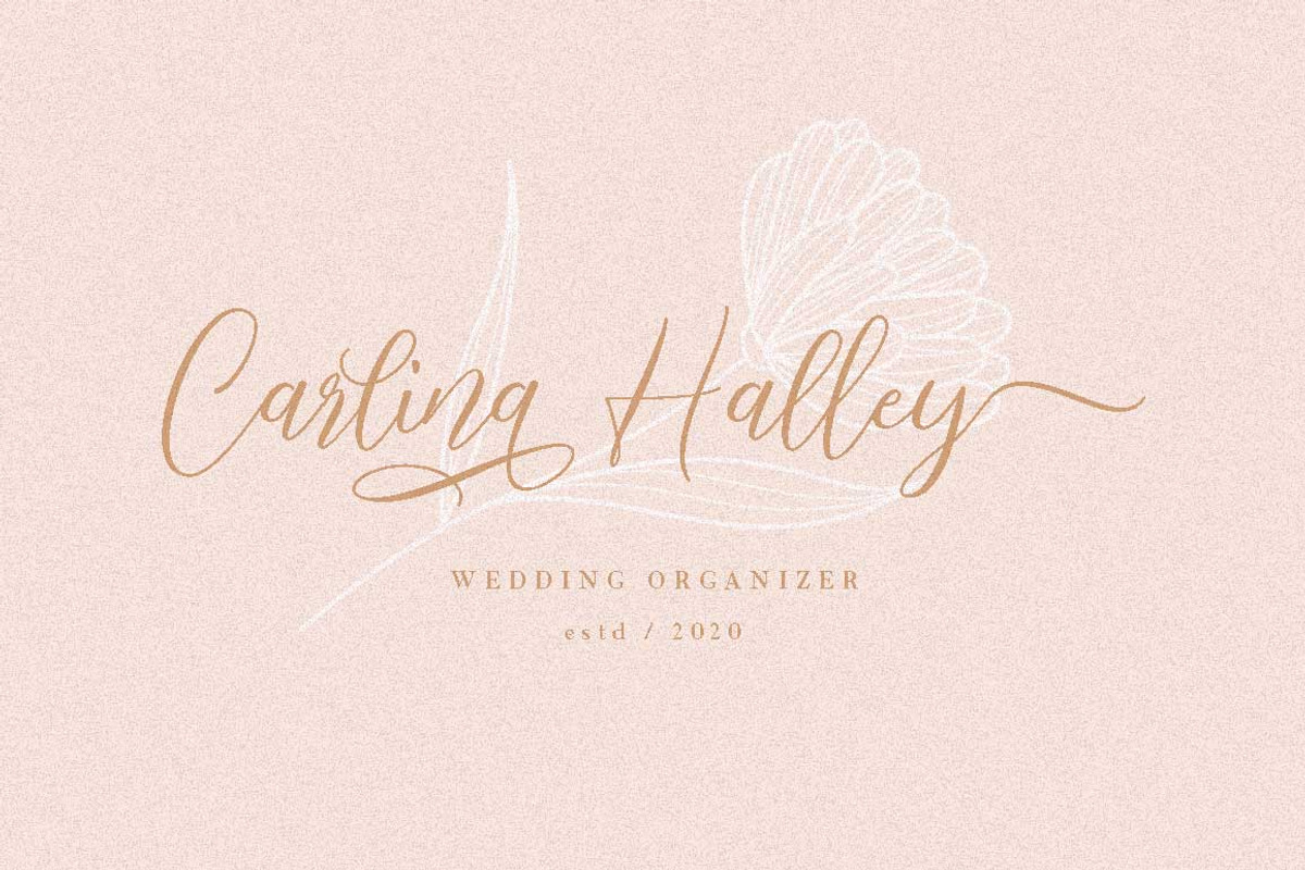 Millered - Beautiful Font Script, a Script Font by Dirtytemp Studio (Photo 8 of 12)