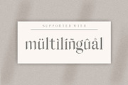 Hilden - stylish modern serif font, a Serif Font by Penatic Studio (Thumbnail 8 of 14)