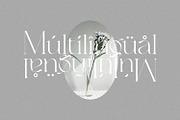 Balinest _ chic modern font, a Serif Font by Penatic Studio (Thumbnail 8 of 10)