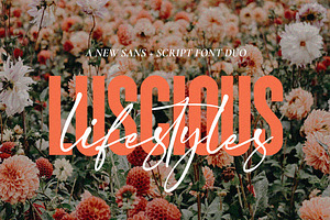 The Script Font Bundle - Vol 02