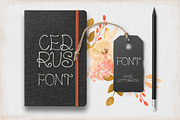 Cedrus Font, a Font by Webvilla Studio (Thumbnail 3 of 5)