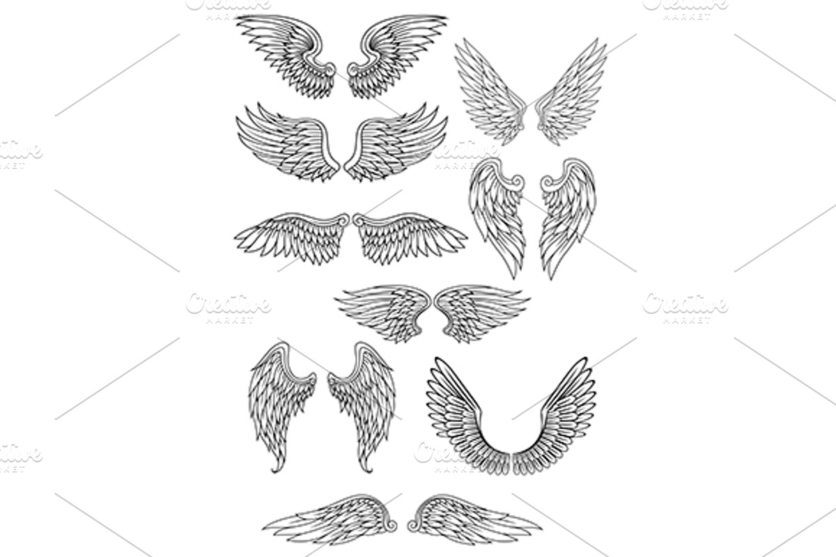 Heraldic bird or angel wings set, a Graphic by Vector Tradition
