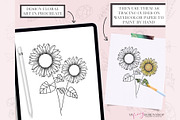 Procreate Floral Line Art Stamp Set, a Brush Add-On by My Fancy Design Shop (Thumbnail 7 of 10)