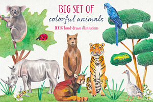 Colorful 120 Animals - Handpainted
