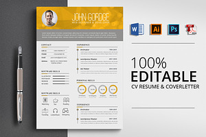 Professional Design Word CV