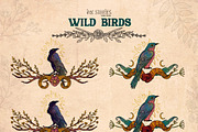 Wild Birds, an Animal Illustration by Ink Stories (Thumbnail 10 of 20)