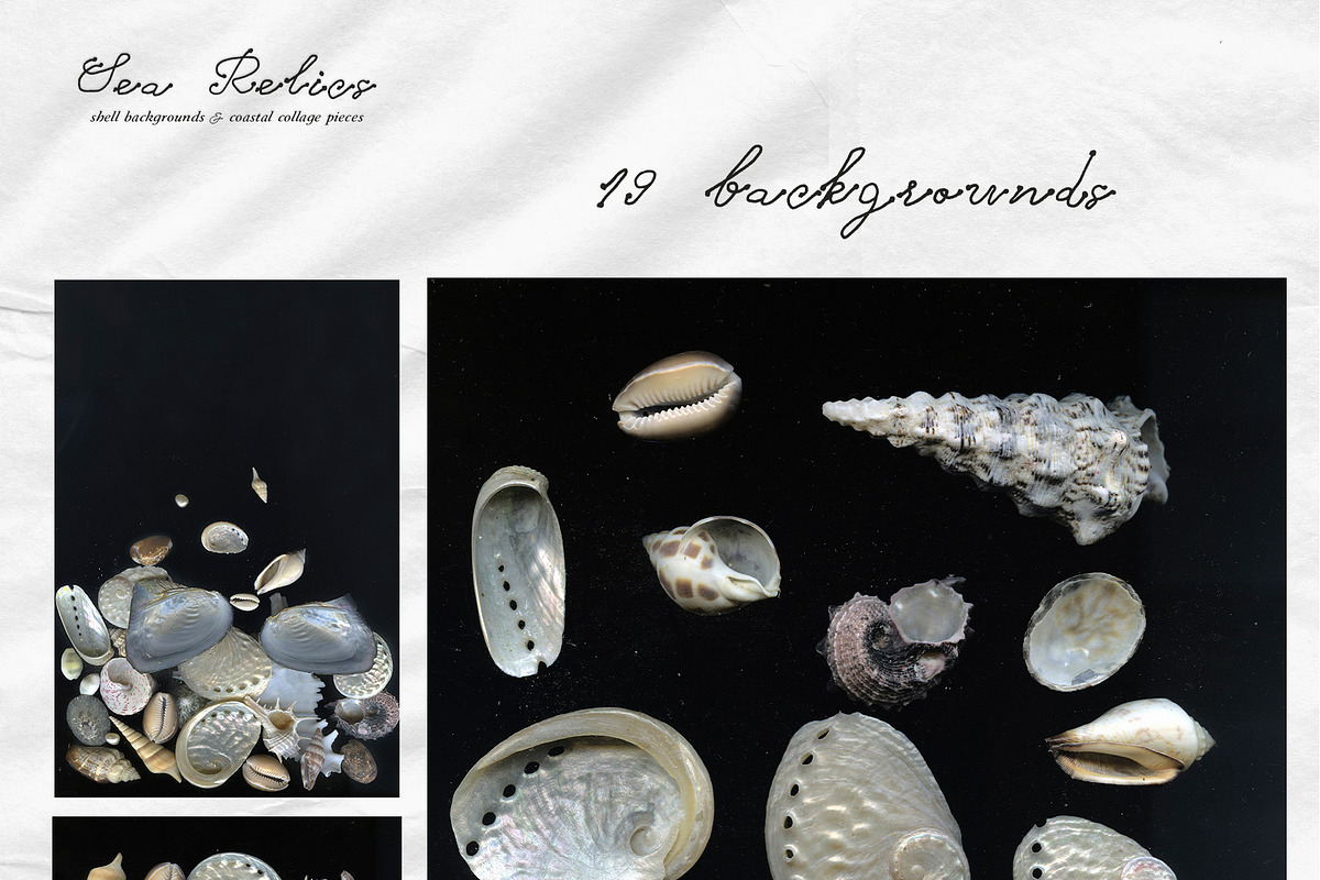 Sea Relics: Objects & Backgrounds, an Object Graphic by Purple (Photo 10 of 14)