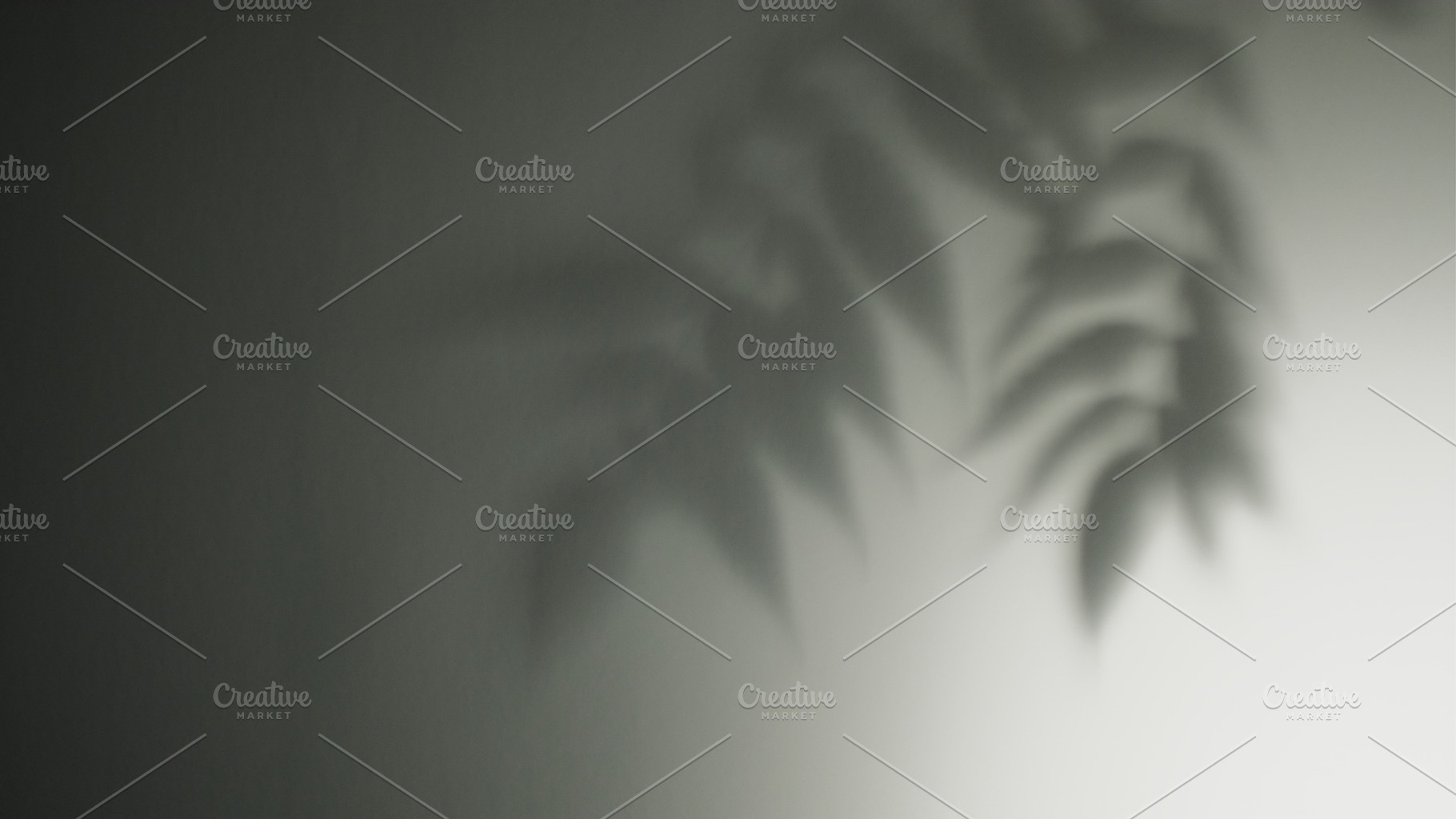 Floral shadow nature contour foliage silhouette, a Background Photo by Photo Drive Studio