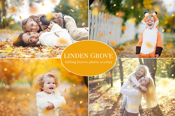 Linden Grove-falling leaves overlay preview 6
