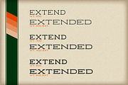 Falcon SR, a Serif Font by Foundry73 (Thumbnail 4 of 6)