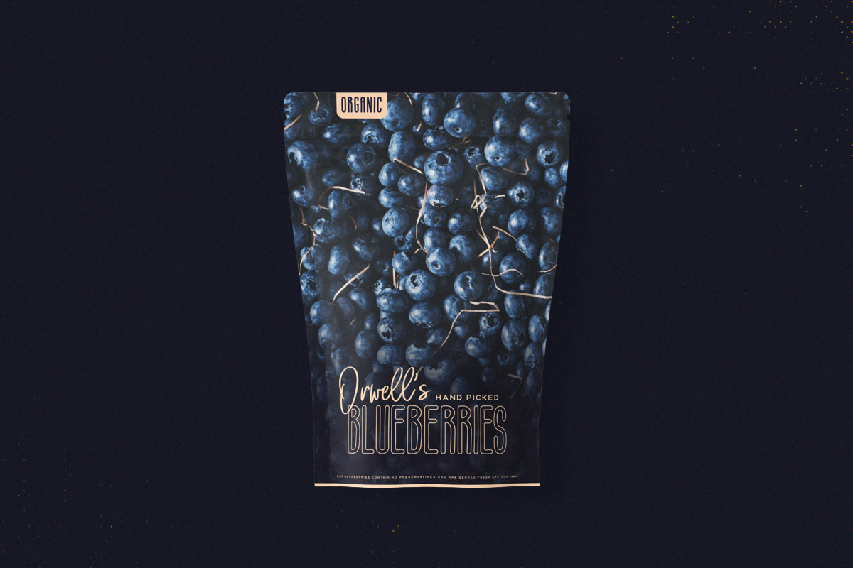 Junebug Typeface, a Font by Tugcu Design Co. (Photo 7 of 7)