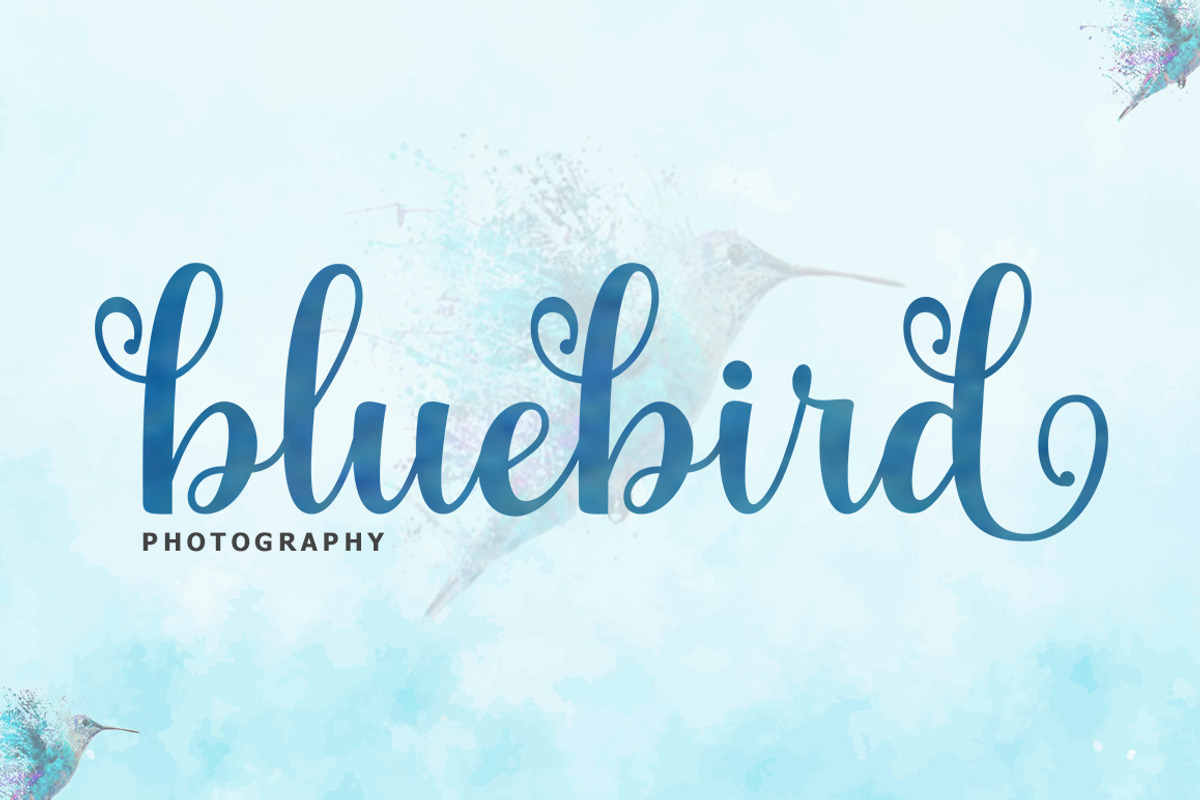 The Juliette | Script Font, a Script Font by Rastype (Photo 4 of 6)