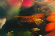 Light Flora Collection, a Background Graphic by NKate (Thumbnail 3 of 12)