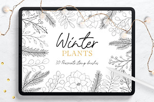 Winter Plants Procreate Stamps