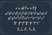 Antapin - Bold Script Font, a Script Font by StringLabs (Thumbnail 11 of 12)