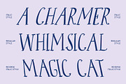 CS Roast – Whimsy Handwritten Font, a Handwritten Font by Craft Supply Co. (Thumbnail 2 of 8)